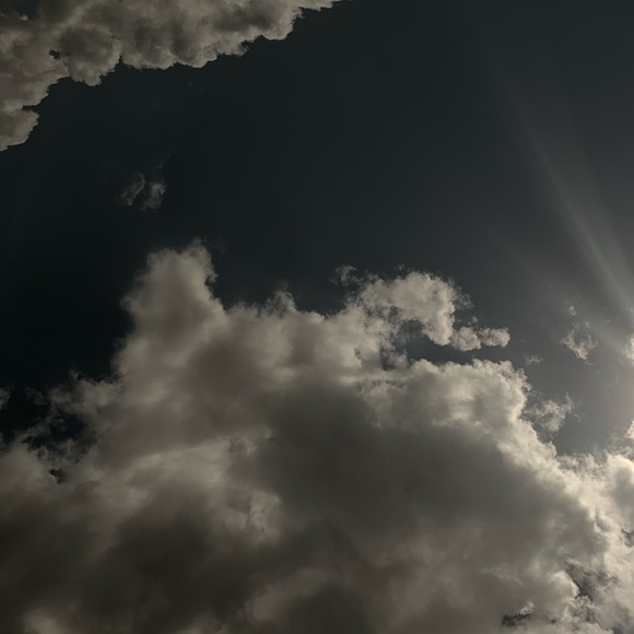 Meet your Posher, Ella - Picture 1 of 1